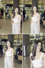Manushi Chillar Spotted At Airport Arrival on 31st August 2023 (1)_64f0179eb516c.jpg
