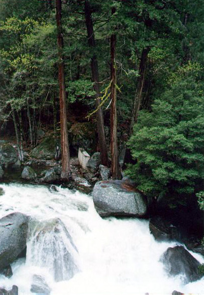 Merced River / Yosemite National Park CA - Bollywood Photos