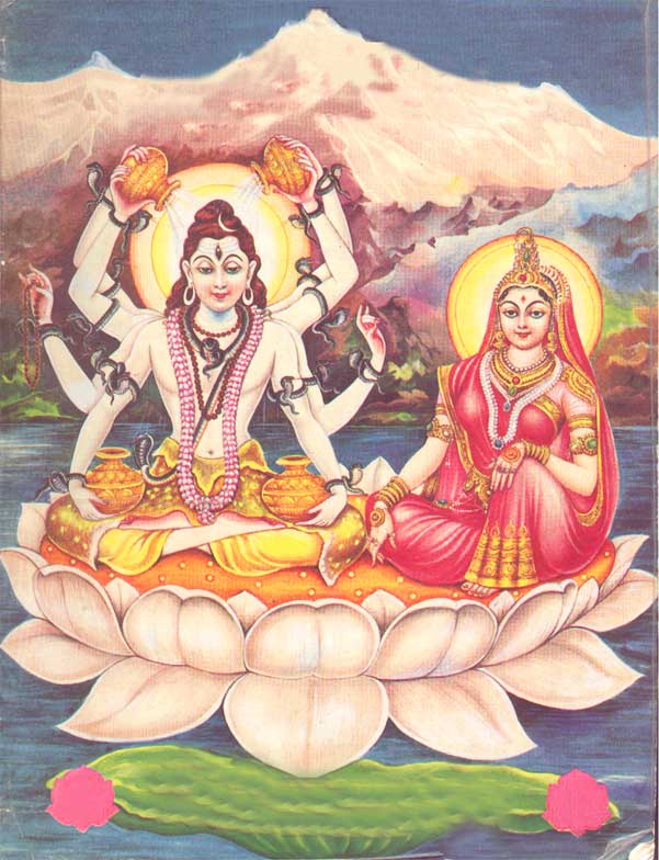 Lord Shiva & Shakti