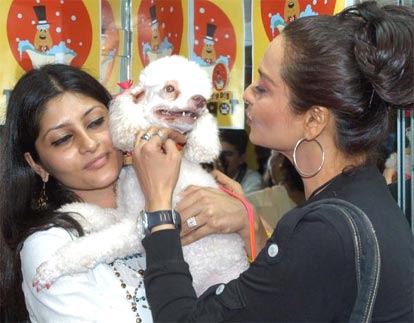 Bollywood actress Rekha with sandy dog