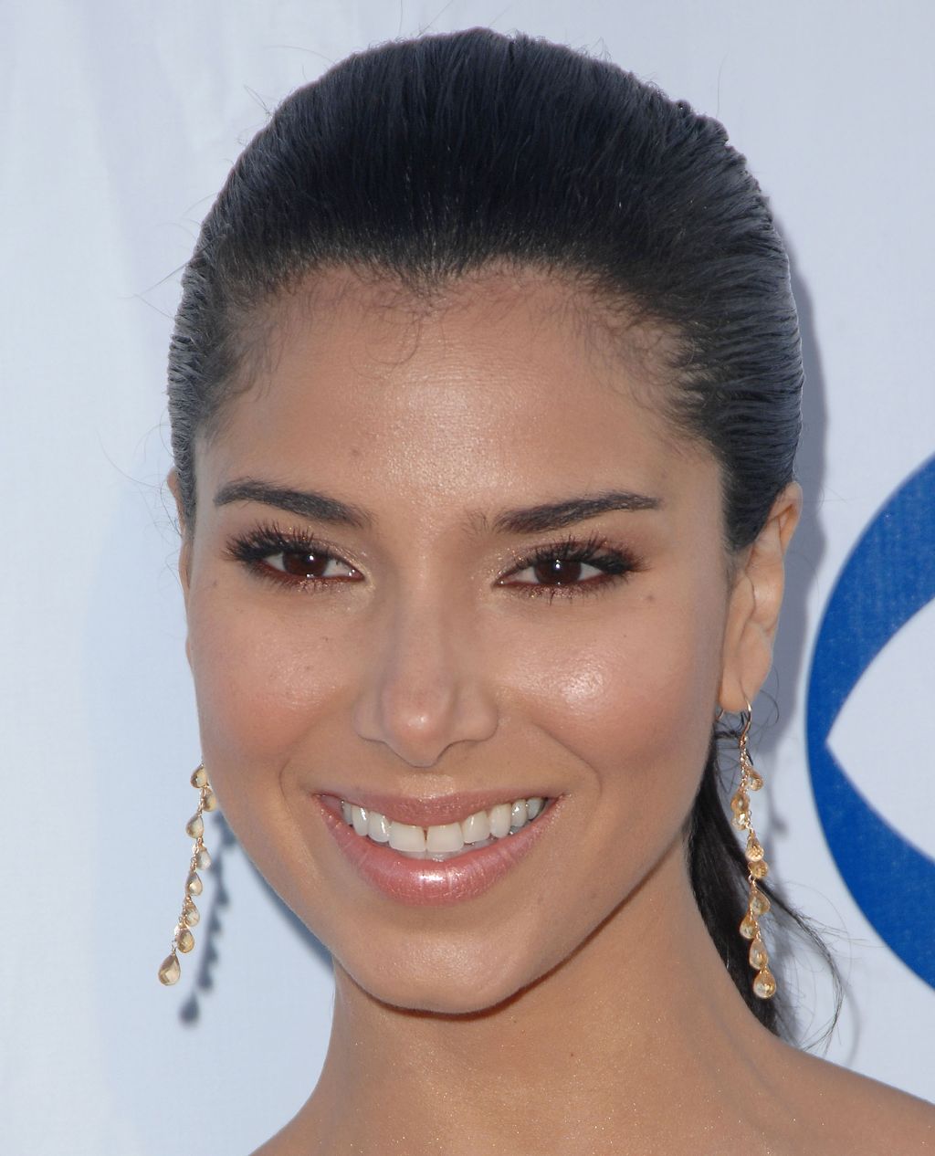 Roselyn Sanchez - CBS All Star Party 2007 (28x) - 2