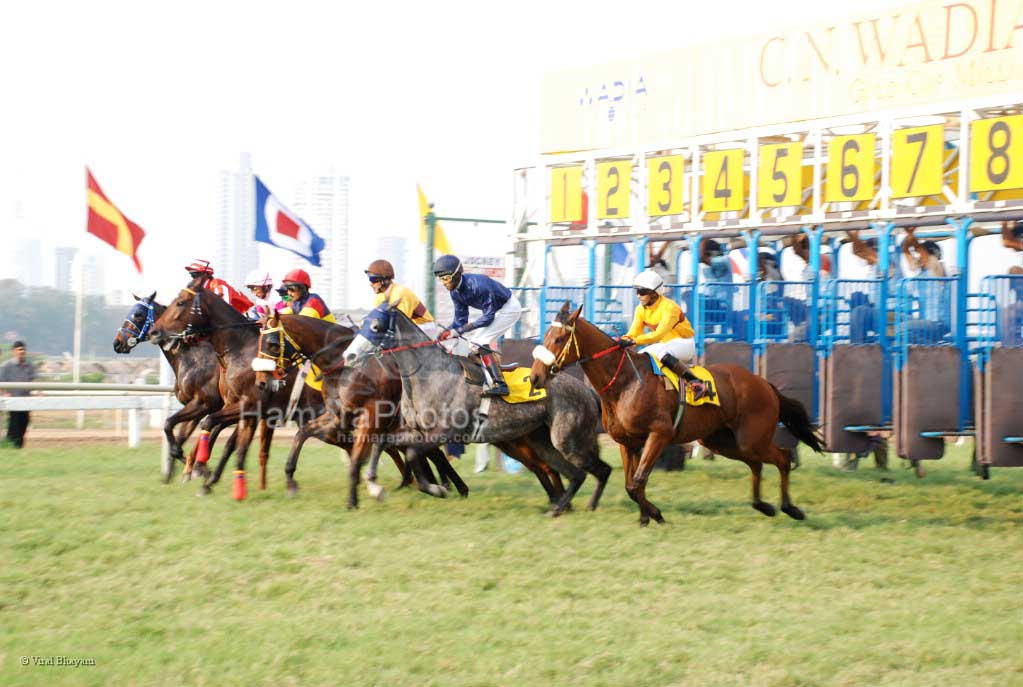 at CN Wadia Cup  in Mahalaxmi Race Course on March 9th 2008