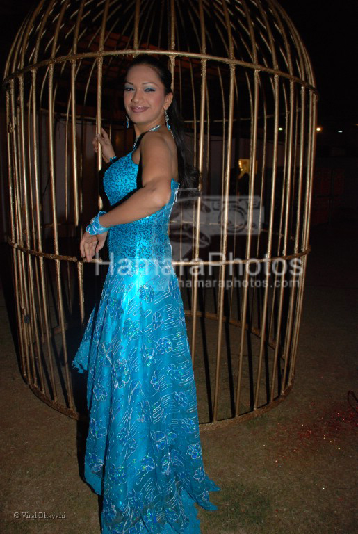 at Sansui TV Awards on 29th 2008