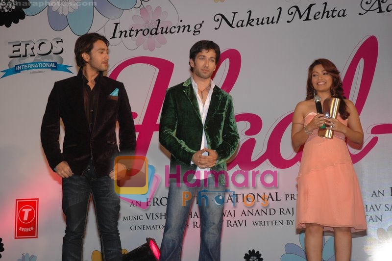 Amita Pathak,Nakuul Mehta,Adhyayan Suman at  Haal-e-dil music launch in JW Marriott  on May 17th 2008