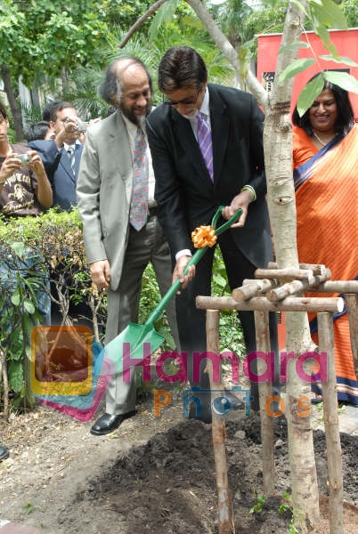 Amitabh Bachchan, Dr. R.K.Pachauri at tree plantion at the IIFA Weekend Bangkok