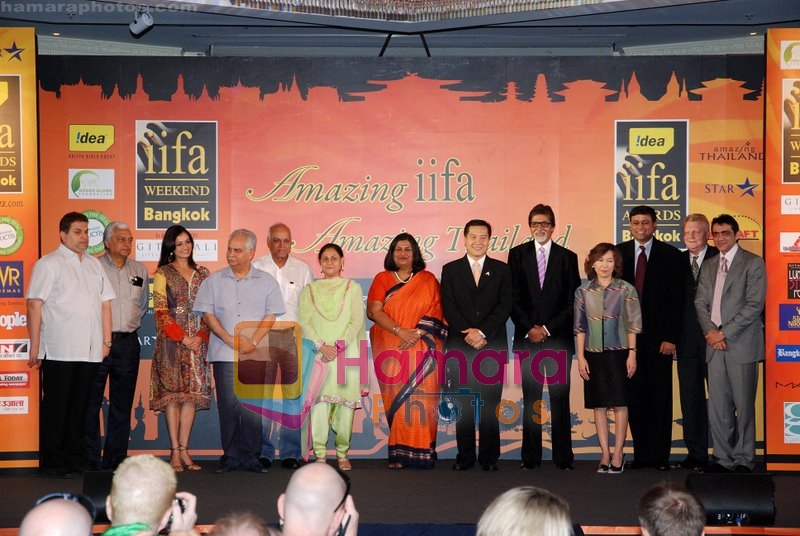 Amitabh Bachchan at IIFA on 12th June 2008