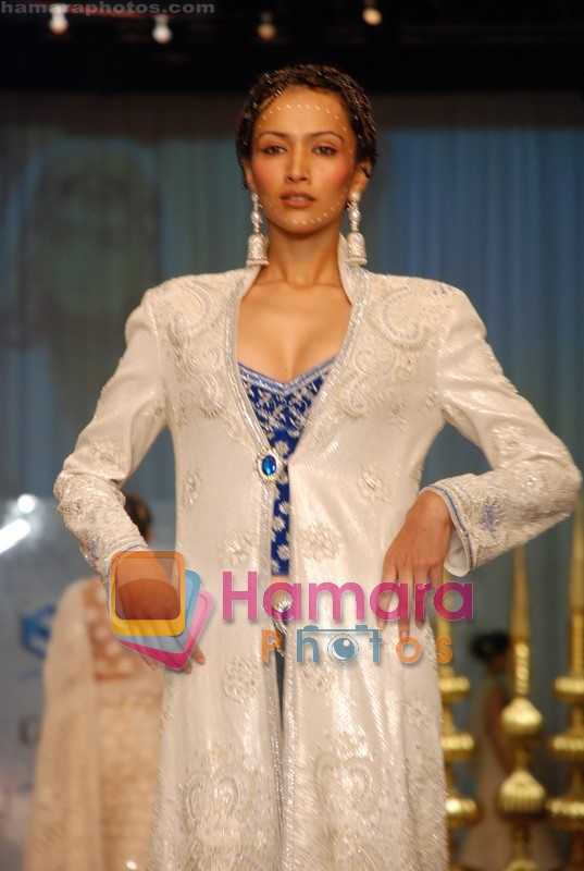 Dipannita Sharma at Tarun Tahiliani Show at HDIL Couture Week on 22nd September 2008 