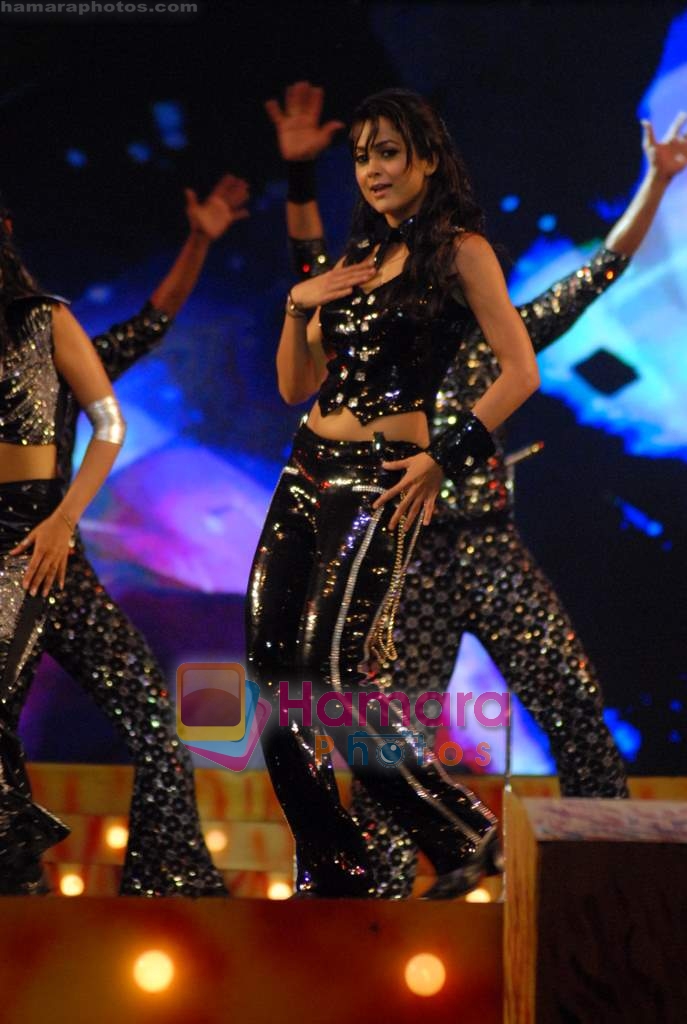Amrita Arora at Himesh Reshammiyas live performance in Concert for Karzzz Curtain Raiser in Andheri Sports Complex on 12th october 2008 