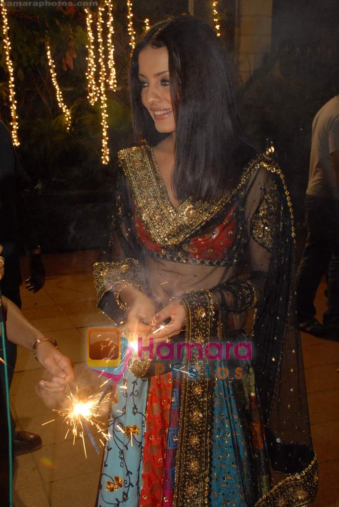 Celina Jaitley at Diwali Celebration in The Club on 27th October 2008 