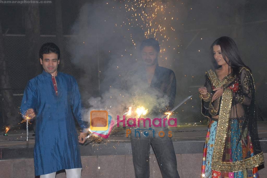 Celina Jaitley, Tusshar Kapoor, Shreyas Talpade at Diwali Celebration in The Club on 27th October 2008 