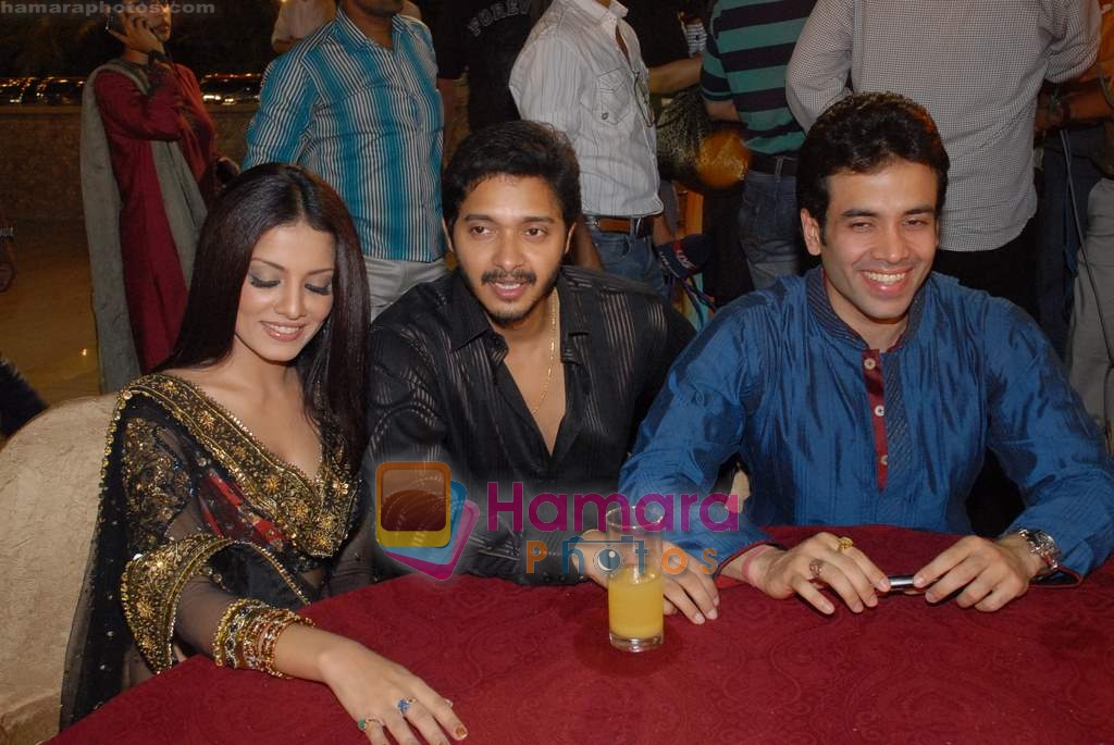 Shreyas Talpade, Celina Jaitley, Tusshar Kapoor at Diwali Celebration in The Club on 27th October 2008 