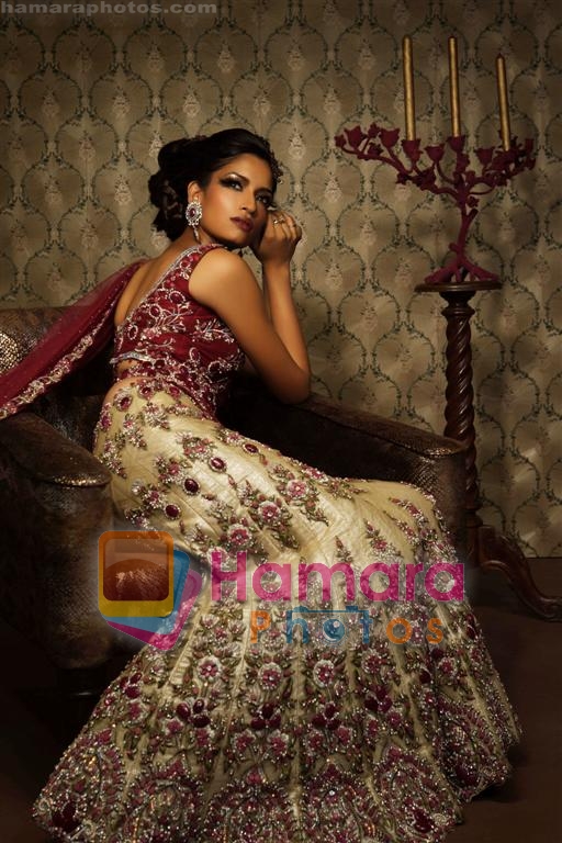 Model at Anjalee & Arjun Kapoor collection 01 (Large) 