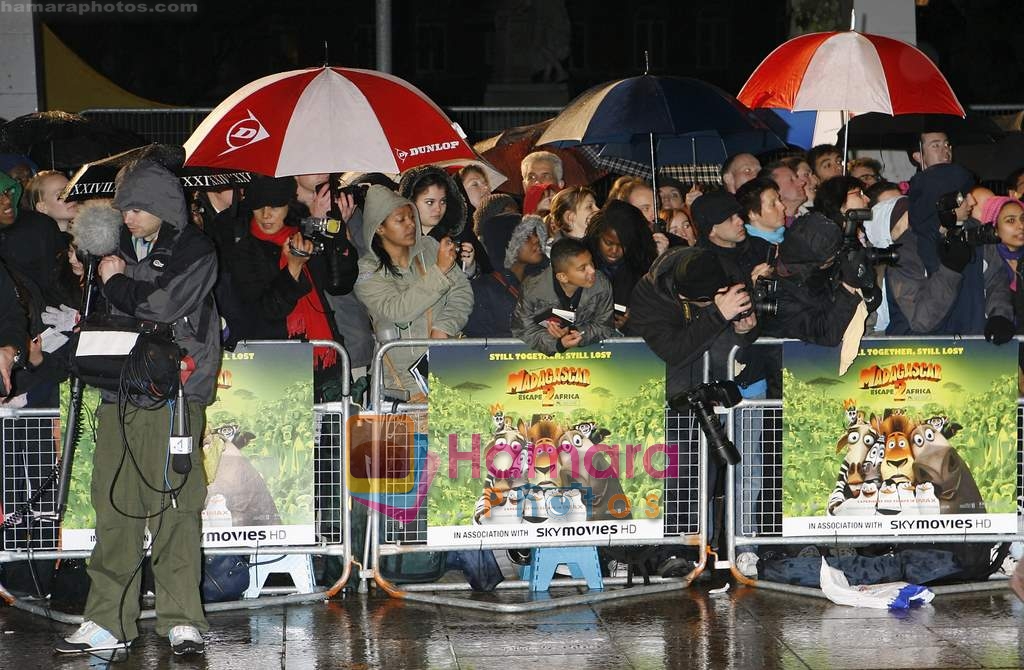 at Madagascar 2 premiere in London on 24th November 2008