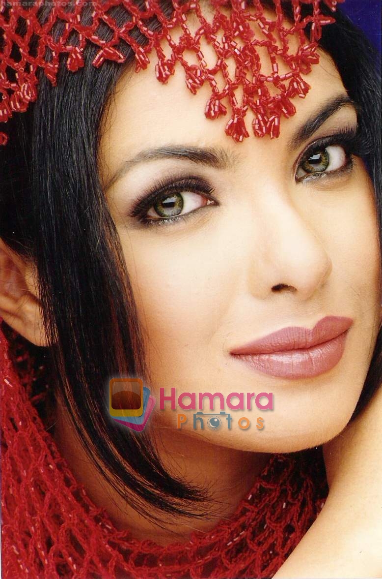 Priyanka Chopra Wallpaper / Priyanka Chopra - Bollywood Photos Priyanka Chopra Wallpaper / Priyanka Chopra - Bollywood Photos