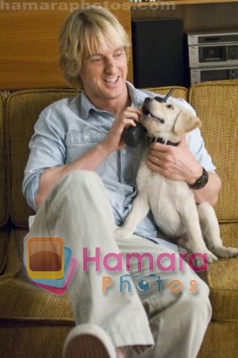 Owen Wilson in still from the movie Marley and Me