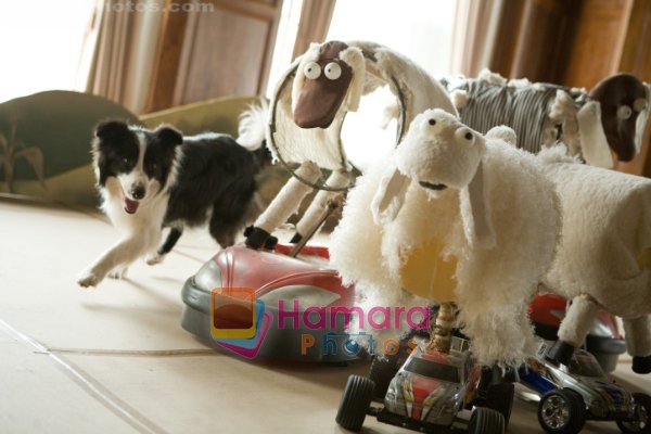 Still from movie Hotel for Dogs 