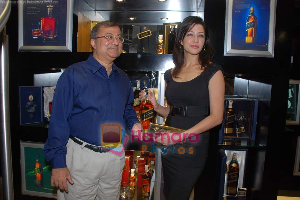 Aditi Gowitrikar at the launch of Jhonny Walker store in Cuffe Parade on 17th Jan 2009 