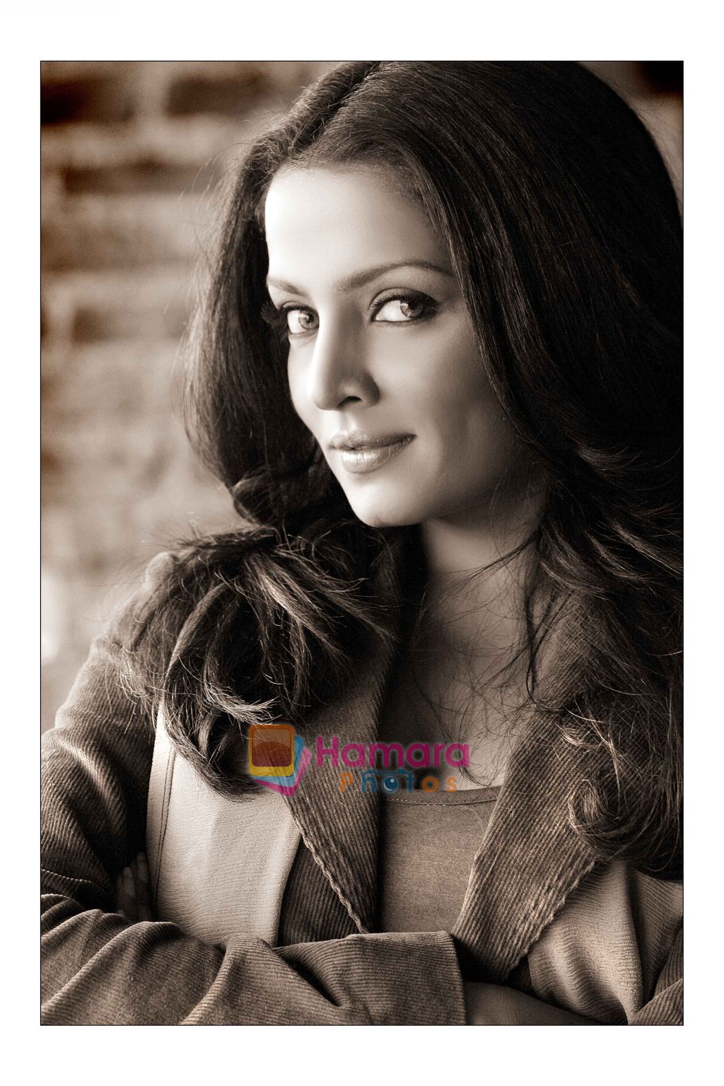 Celina Jaitley Wallpaper / Most Viewed Bollywood Photos - Bollywood Photos