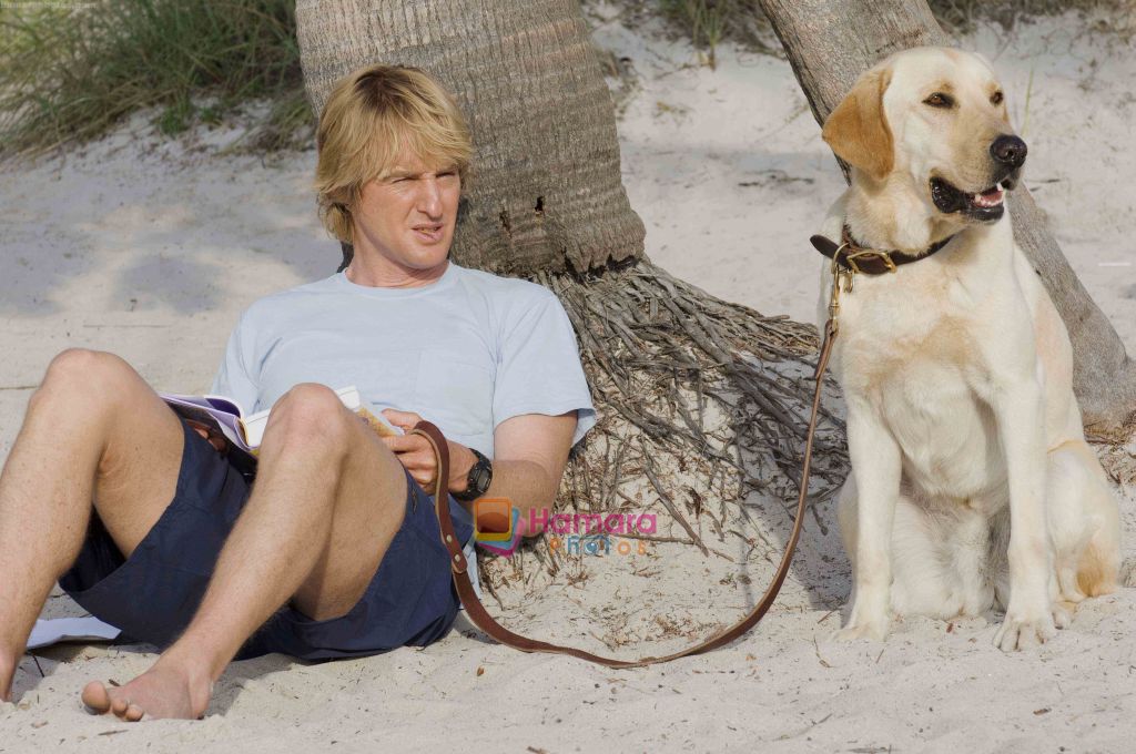 Owen Wilson in the still from movie Marley and Me 