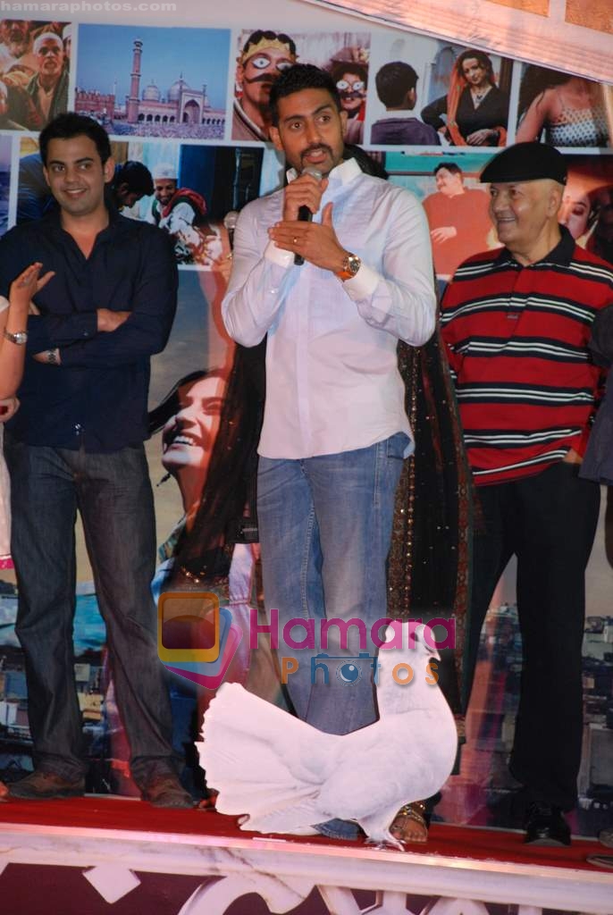 Abhishek Bachchan at Delhi 6 press meet in Inorbit Mall on 13th Feb 2009 