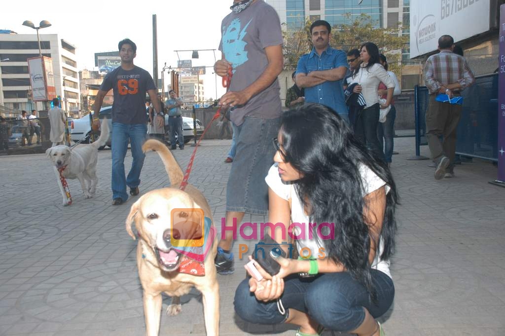 Shweta Salve at Marley and Me Dog show in Fame on 15th Feb 2009 