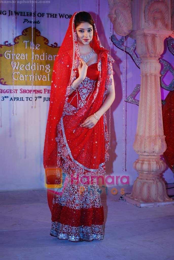 at Neetu Lulla's Indian Wedding Carnival in Mayfair Rooms on 2nd April 2009 