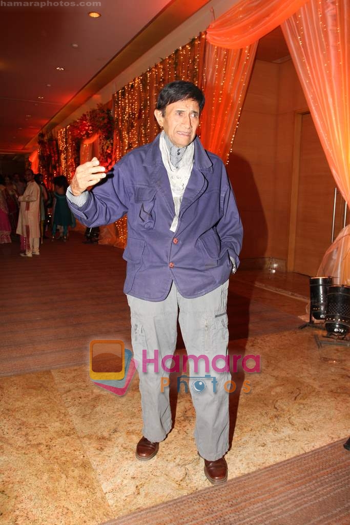 Dev Anand at Mittal's Wedding in Grand Hyatt on 25th April 2009 