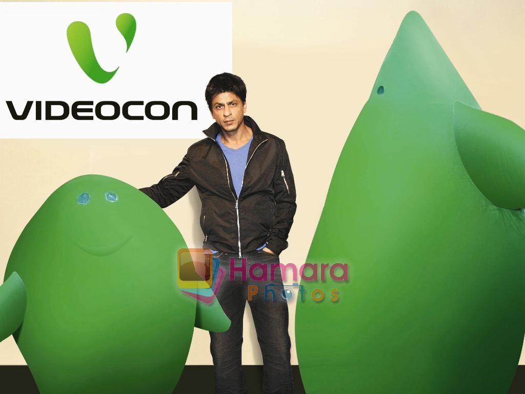 Shahrukh Khan celebrates with _New Friends_ Chouw & Mouw -Videocon's new Look in San Francisco!  on 25th June 2009