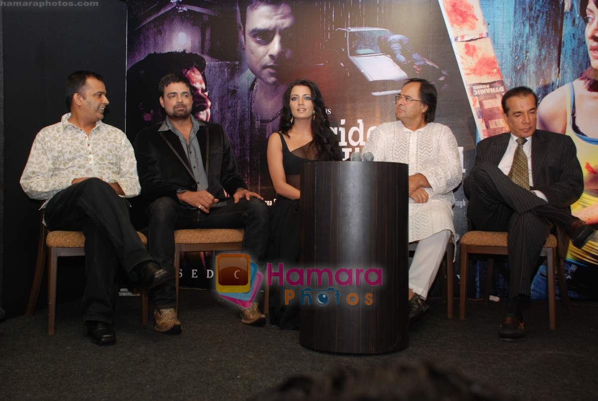Abhimanyu Shekhar Singh, Celina Jaitly, Farooq Sheikh, Nari Hira at the First look launch of Accident On Hill Road in Bandra on 27th July 2009 