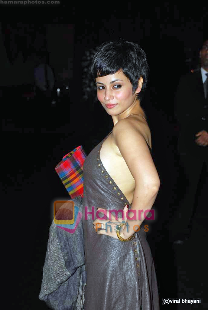 Antra Mali at GQ Man of the Year Awards in Mumbai on 27th Sep 2009 