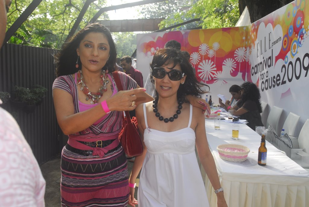 Aarti Surendranath at Elle Carnival for Breast Cancer Awareness in Tote, Mumbai on 15th Nov 2009 