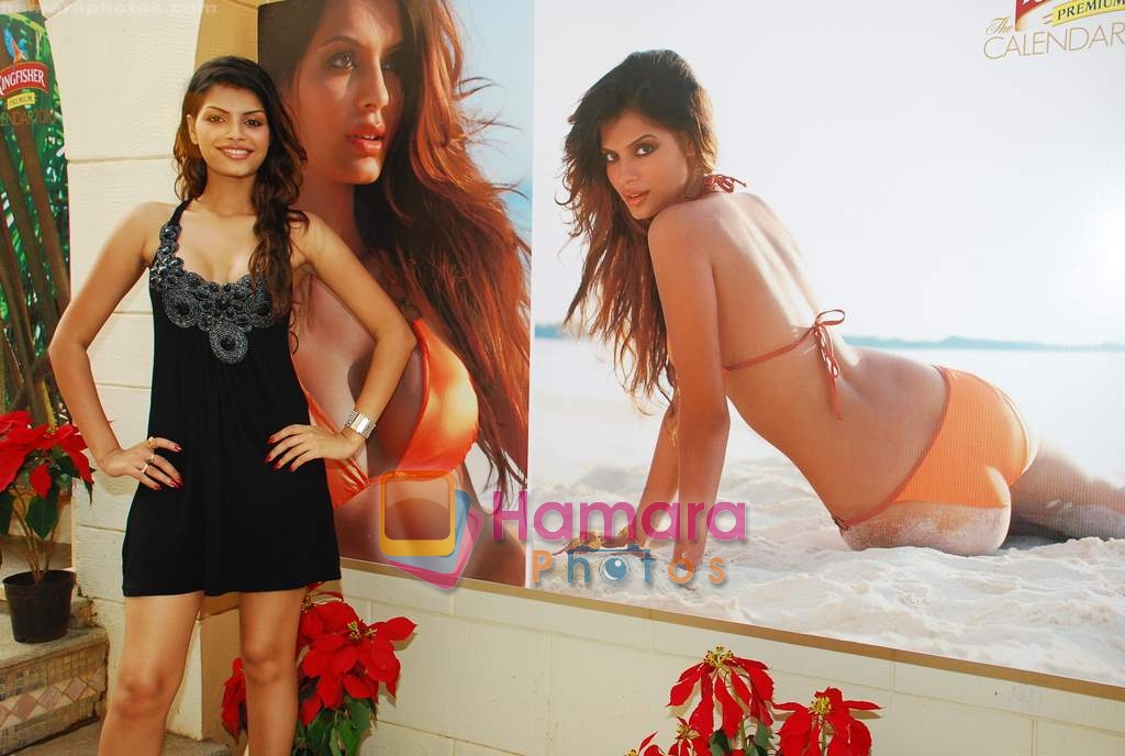 at Kingfisher calendar launch in Napeansea Road, Mallya's residence on 20th Dec 2009 