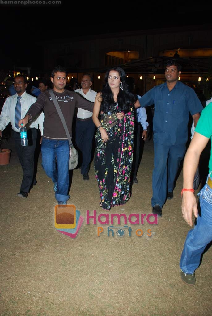 Celina Jaitley at Country Club New Year's bash press meet in Country Club, Andheri on 30th Dec 2009 