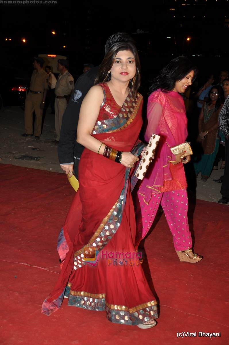 Alka Yagnik at Star Screen Awards red carpet on 9th Jan 2010 ~0