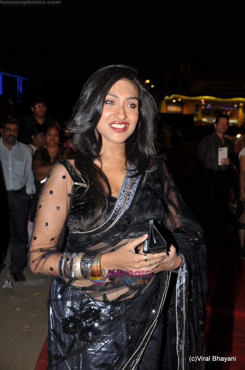 Rituparna Sengupta at Star Screen Awards red carpet on 9th Jan 2010 ~0