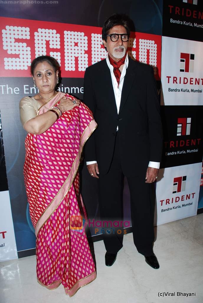 Amitabh Bachchan, Jaya Bachchan at Star Screen Awards red carpet on 9th Jan 2010 