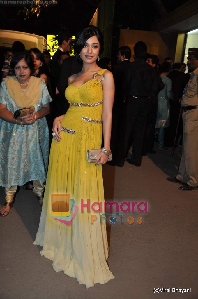 Amrita Rao at Filmfare Awards red carpet on 27th Feb 2010 