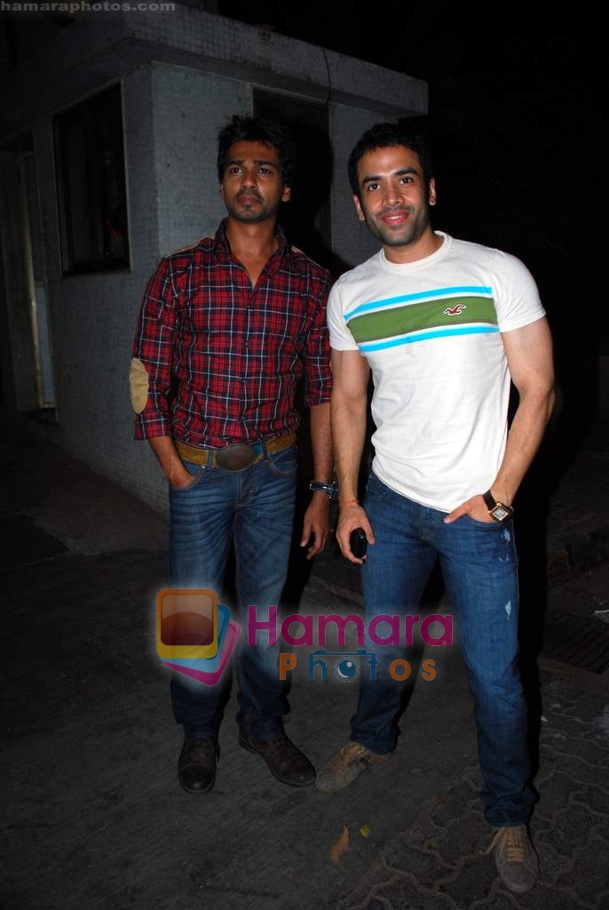 Nikhil Dwivedi, Tusshar Kapoor at the special screening of Love Sex Aur Dhokha hosted by Tusshar Kapoor in Pixion, Bandra on 18th March 2010 