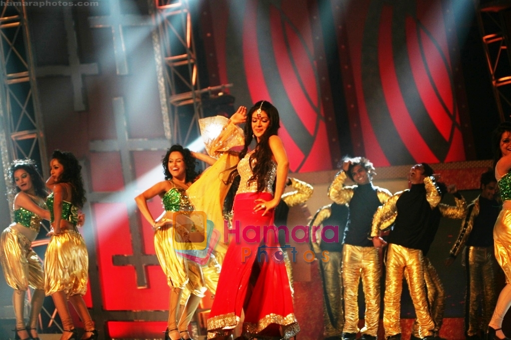 Priyanka Chopra at Star Cintaa Superstars ka Jalwa on 31st March 2010 