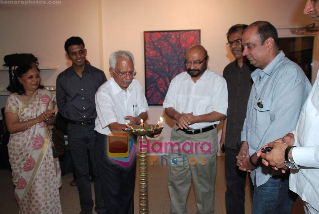 at Pradeep Mahadeshwar's exhibition in Nariman Point on 7th April 2010 