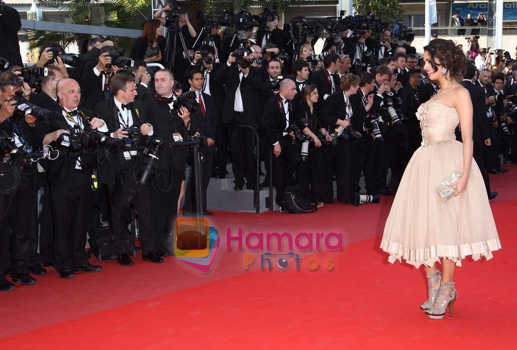 Mallika Sherawat  in Cannes on 19th May 2010 