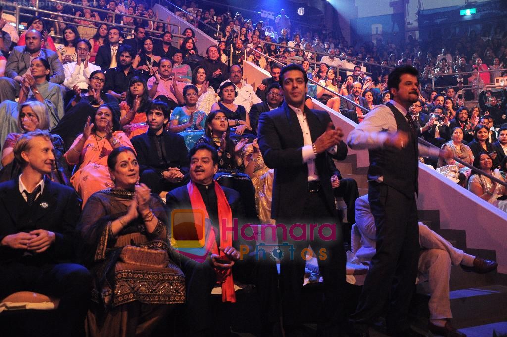 Anil and Salman at the IIFA Awards 2010 on 5th June 2010