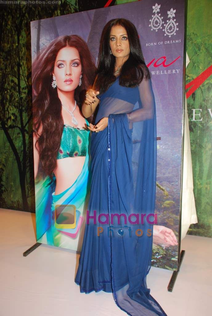 Celina Jaitley is the new ambassador of Diya in Trident on 10th Sept 2010 
