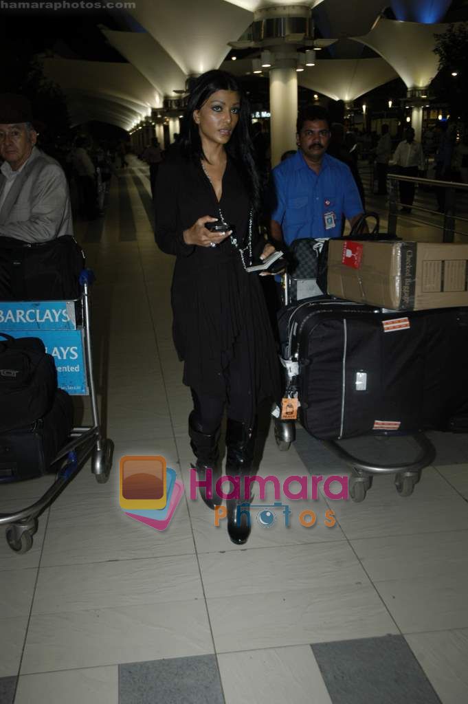 Koena Mitra back from LA in Mumbai Airport on 14th Sept 2010 