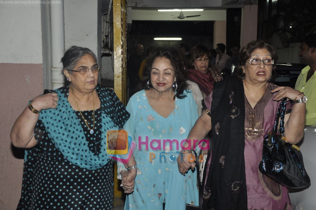 Salma Khan at Yamla Pagla Deewana screening by Rumi Jaffrey in Ketnav, Mumbai on 13th Jan 2011 