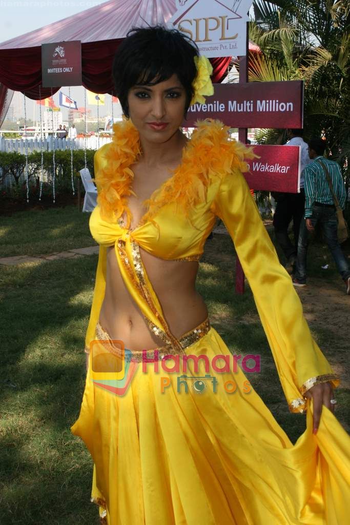 Jesse Randhawa at SIPL Race in Mahalaxmi Race Course on 16th Jan 2011 