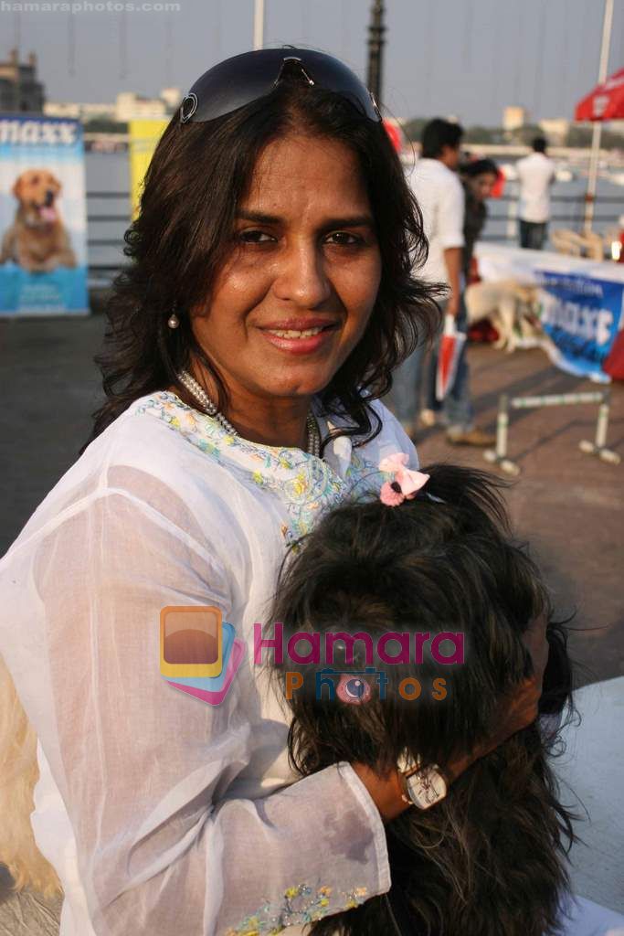 at Frazana Contractors Dog show in Radio Club on 12th Feb 2011 
