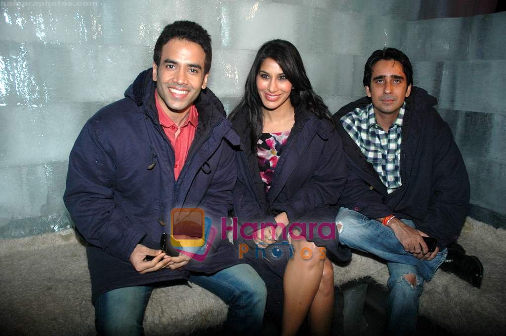Tusshar Kapoor, Sophie Choudry at Valentine event for singles in 21 farenheit on 14th Feb 2011 