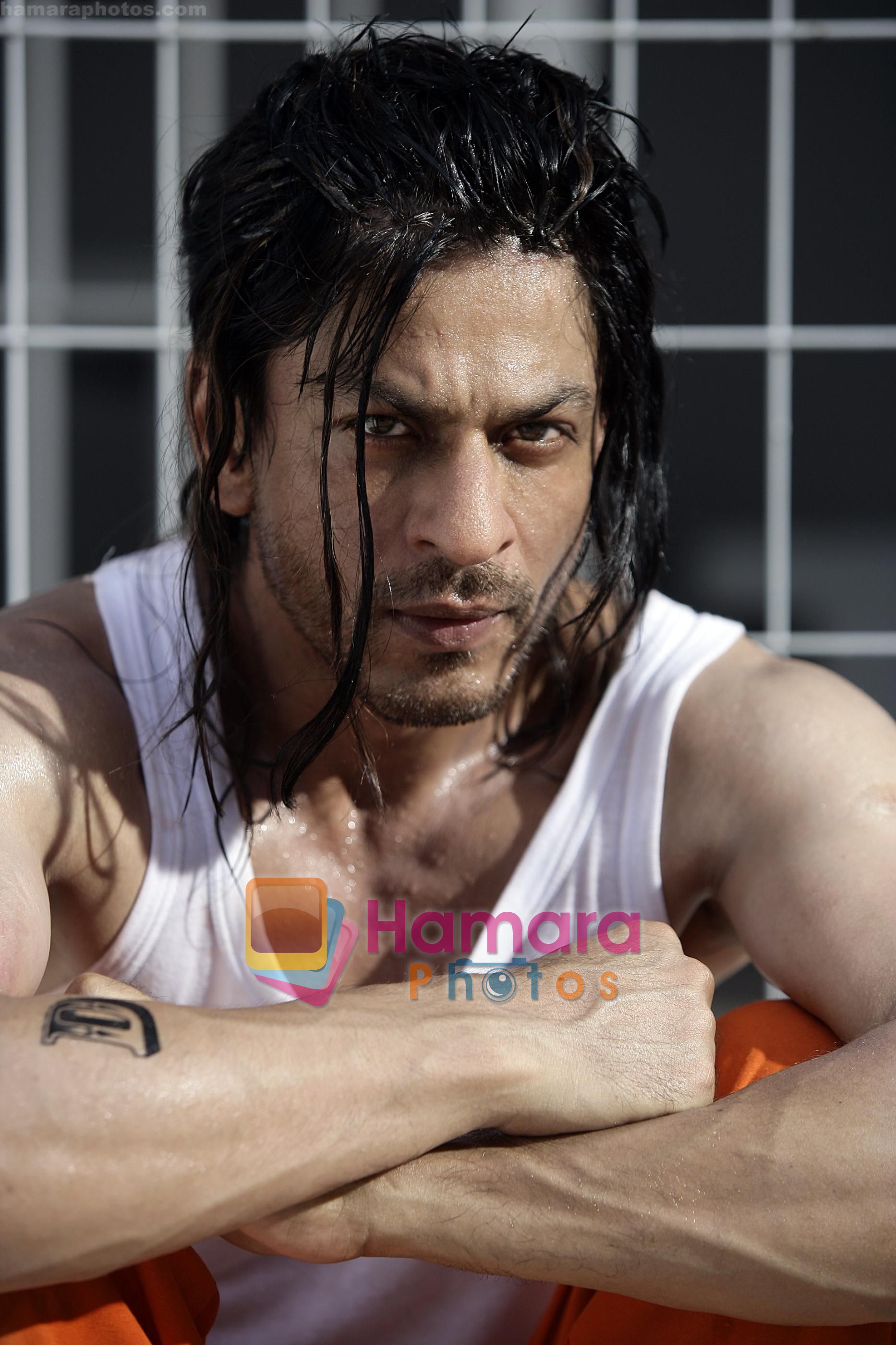 Shahrukh Khan's new look for Don 2 