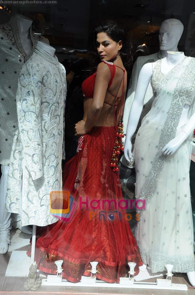 Veena Malik backless photo shoot at Riyaz Ganji store in Juhu, Mumbai on 19th April 2011 